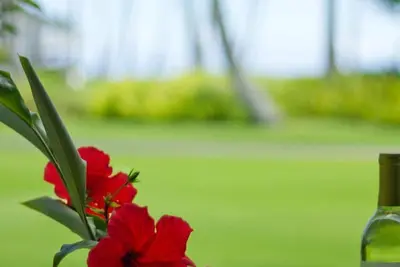 Image de Kiahuna - Ocean View - Rez-de-chaussée sur Great Lawn!