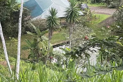 Image de Jungle Forêt escapade à la montagne