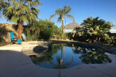 Image de Snow Bird rêve pour jour ensoleillé et chaud pendant les hivers froids du nord.