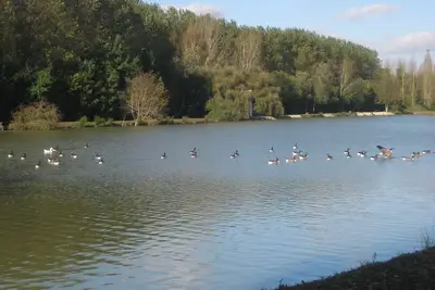 Image de Cottage dans parc de 9 ha avec étang à 80 kms Paris. Jouets pour enfants. Peche