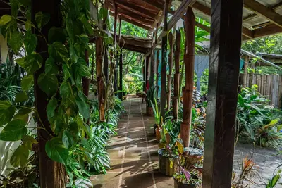 Image de Une expérience unique dans la jungle tropicale entre jardins magiques et forêt tropicale.