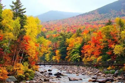 Image de Récemment rénovées, 2 lit White Mountain Get Away: piscine, bain à remous, Vue sur la montagne