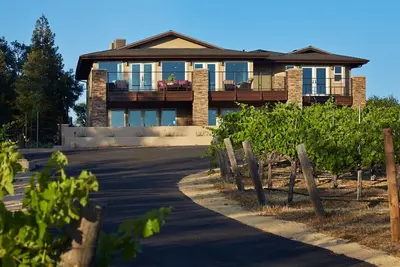 Image de Vues spectaculaires sur le vignoble