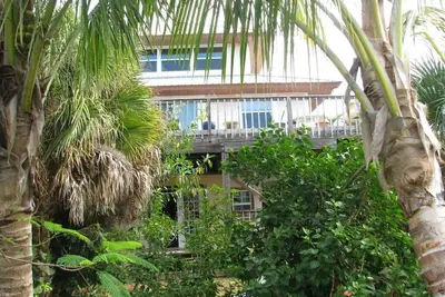 Image de Maison tropicale nichée parmi les noix de coco