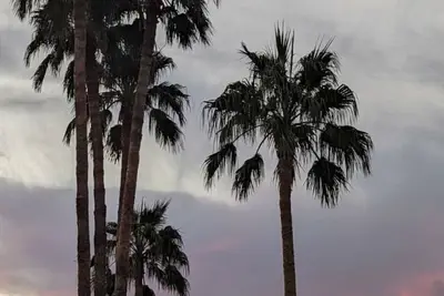 Image de Accueil à N. Quartier de Phoenix