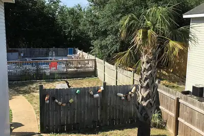 Image de Vous y trouverez plus assez fun à ce Outer Banks maison de vacances!