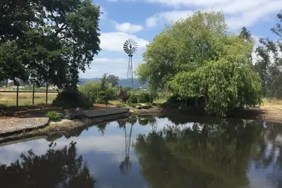 Image de 4 acres de pays viticole vivant avec étang, moulin à vent, vignobles, piscine et plus. .