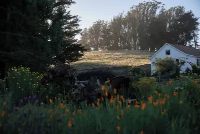 Image de Ferme de charme sur Ranch de bétail biologique