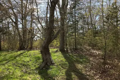 Lambert's Cove Bog House