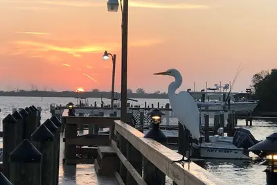 Image de Bienvenue au paradis sur la petite île de Gasparilla! Piscine / voiturette de golf / kayaks