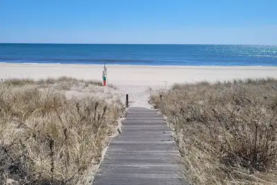 Image de Dune Rd: divertissement et divertissements au bord de l'eau, de la baie à l'océan