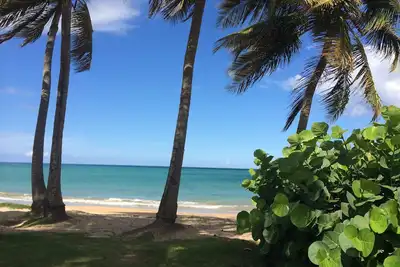 Image de Vraiment bord de l'océan. - pas du sable.