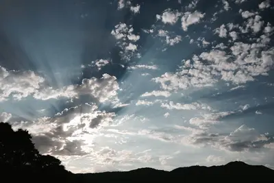 Image de Maison D'HÔTES DÉTACHÉE: Walk To Town, 1030 Sq Ft, 1 Br / 1. 5 Ba, Mt. Tam Vie