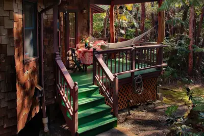 Image de Gem Magique Et Cosy! Oiseaux, Fougères énormes abondent dans la forêt tropicale indigène. Si Calme.