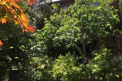 Image de Retraite de rêve du mont Tamalpais