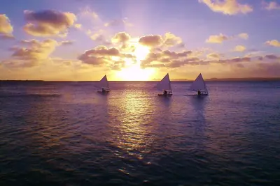 Image de Oceanfront, nouvellement rénové 2 Br / 2ba @ Spectaculaire B7 Sand Dollar Resort