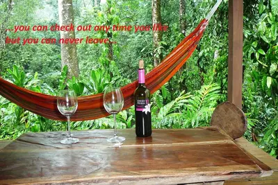 Image de Bienvenue dans la jungle! Appartements élégants avec vue sur la jungle pour les amoureux de la nature