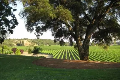 Image de Coop est notre Cottage Vineyard entièrement rénové et magnifique à 1, 5 km du centre-ville