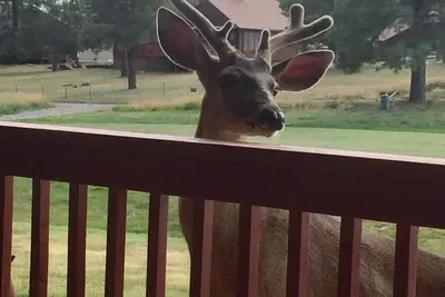 Image de vue sur la montagne Big sur golf.