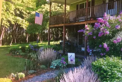 Image de Une retraite paisible dans les bois