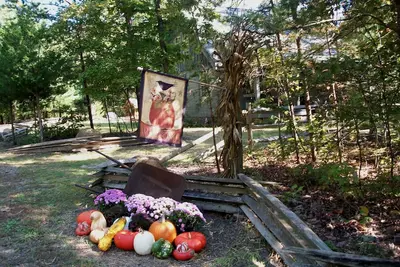 Image de Deer Ridge Cabin Minutes to Wineries De Monticello, Blenheim, Trump & Jefferson!