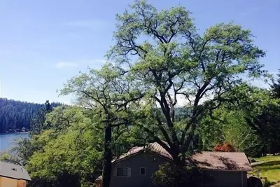 Image de \"Escape By The Lake\" - Gated Resort avec des activités du lac près de Yosemite