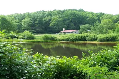 Image de Cabine isolée sur paisible 100+ acres avec nouveau bain à remous