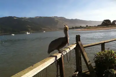 Image de Magical Cottage juste sur la lagune Bolinas