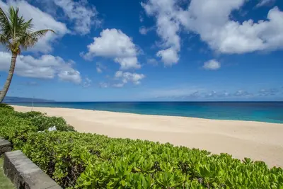 Image de Accueil front de mer, sur le célèbre Banzai Pipeline