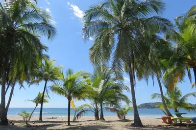 Image de Fabulous Ocean View, distance de marche de la plage