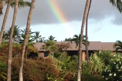 Image de 1a - récemment mis à jour 1 Bd 2 Ba w / Queen Murphy Bed Lanai a jardin et partie Ov