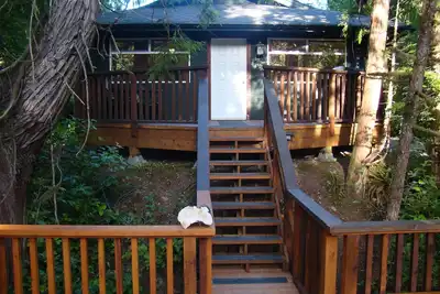 Image de Cabane privée avec vue sur la forêt et située en face de la plage de Cox Bay