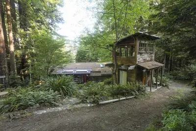 Image de Escapade dans la forêt de Redwood