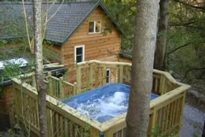 Image de Cabine Cedar Creek: bain à remous et vues: près d'Asheville et de la rivière