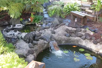 Image de Chalet de jardin Lovely, Hamakua district de chute d'eau, 100% solaire