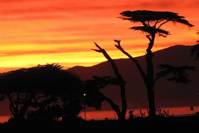 Image de Retraite de sirène (Pet Friendly) (Séjour d'une semaine minimum) Permis # 0027