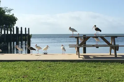 Image de Chalets de charme, impuretés, piscine, kayaks, à quelques minutes de Key West