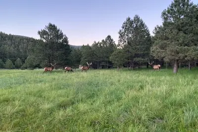 Image de Retraite à Saviour Trail, Nouveau-Mexique pour vos retrouvailles ou votre escapade en famille