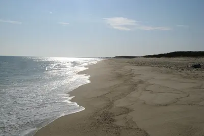 Image de Quartier Tom Nevers-Quiet