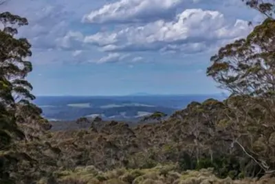 Image de Convient aux familles (animaux acceptés), 24 acres de forêt, emplacement central pour des activités
