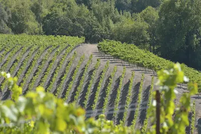 Image de Maison vigneronne sur une propriété de 26 acres de crique Merveilleux pour tous les âges