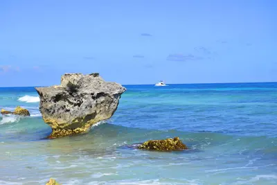 Image de Amigo Rental Isla Mujeres