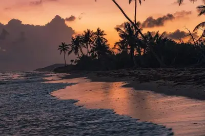 Image de Coco Beach et vue sur la mer des Caraïbes sur 5 Acres- Casita à Encantada