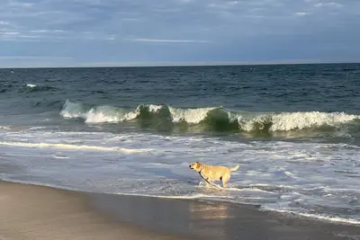 Image de Bord de l'eau, la Grande-Baie Sud, Dock, douche extérieure, front de mer,
