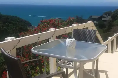 Image de Bush et Seaview studio