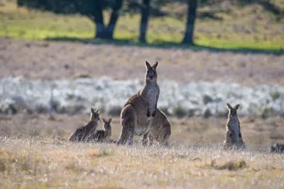Image de L'évasion parfaite de l'agitation de la civilisation.