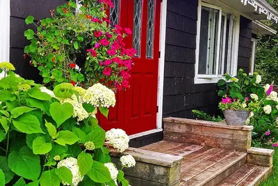 Image de Potter's Cottage dans la belle vallée de Margaree