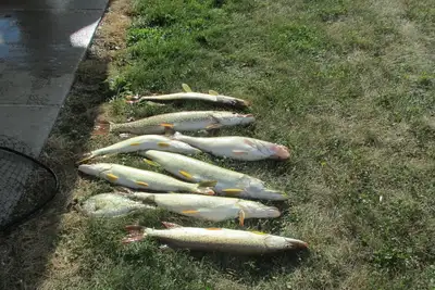 Image de The Fish House - Disponible pour location à court terme. Situé au coeur de la