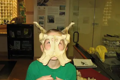 Image de Coeur de la ville - HalfBlock à Metro - Columbia Heights.