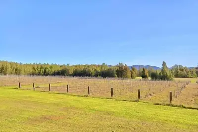 Image de La Vigna Function and Wedding Accommodation tout le vignoble peut accueillir jusqu'à 48 personnes